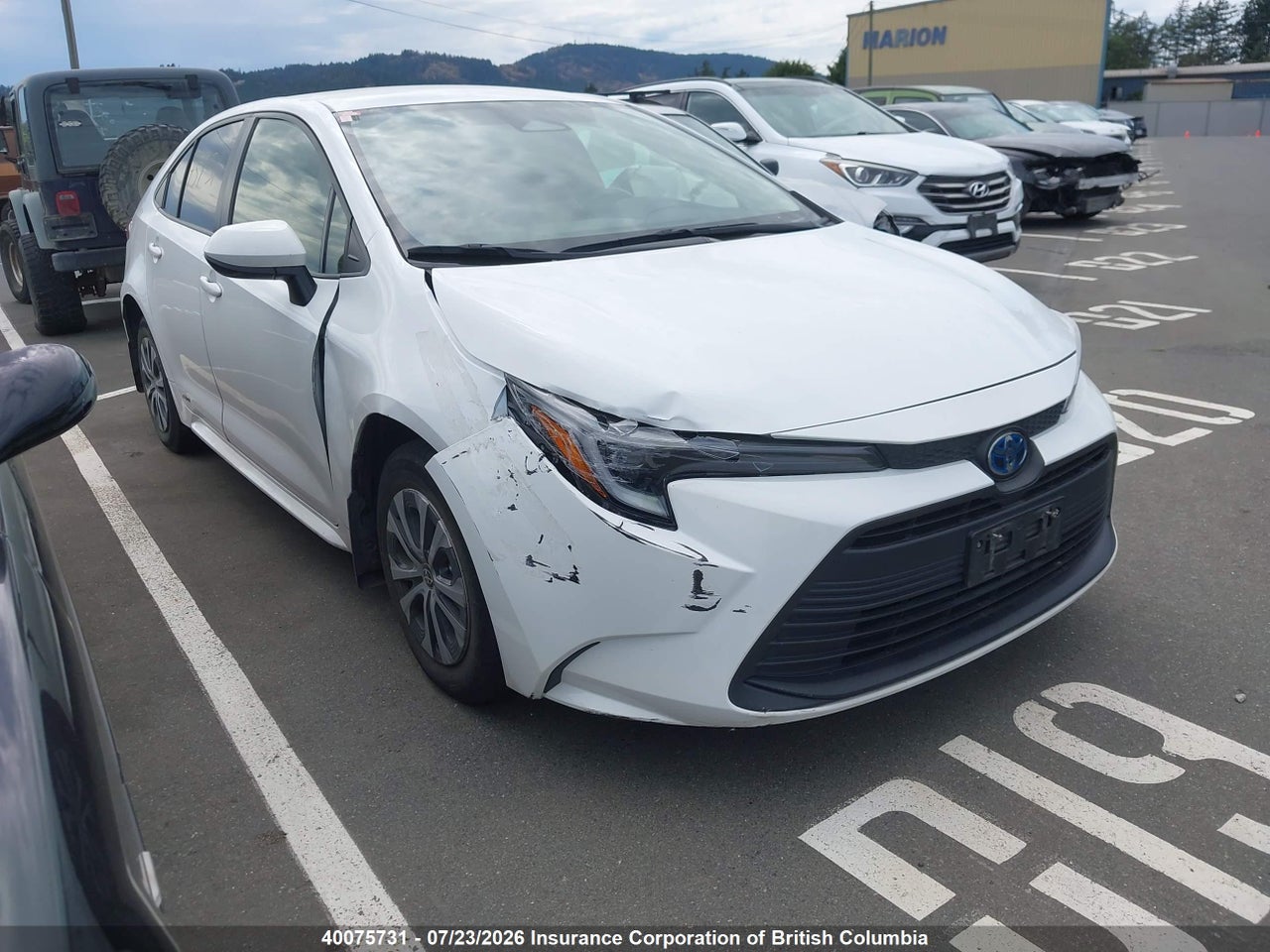 2023 TOYOTA COROLLA LE/SE/NIGHT SHADE thumbnail 2
