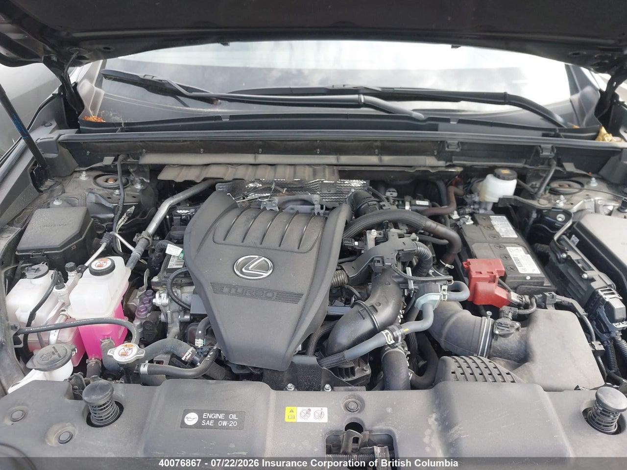 2023 LEXUS NX 350 thumbnail 11
