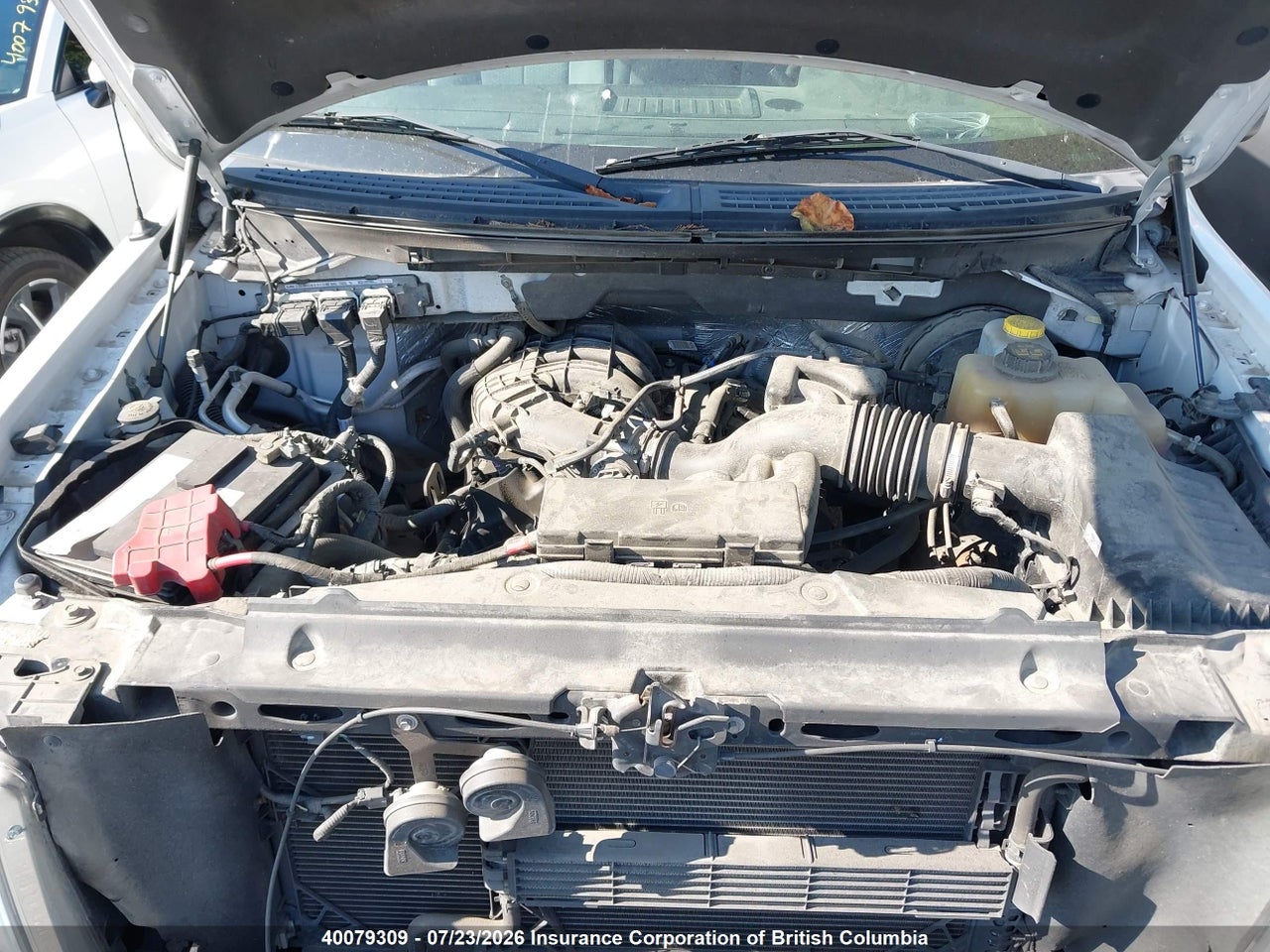2014 FORD F150 thumbnail 11