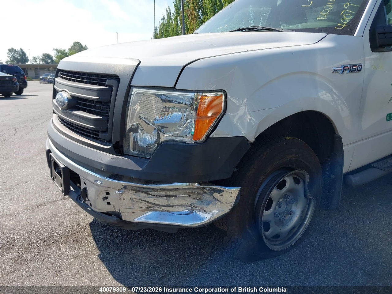 2014 FORD F150 thumbnail 7