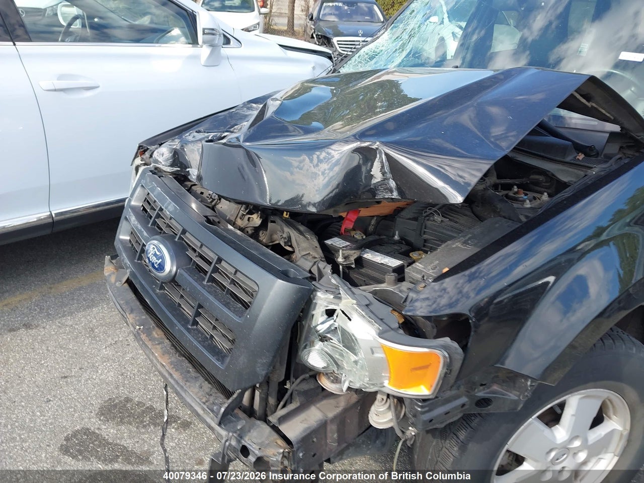 2011 FORD ESCAPE XLT thumbnail 7