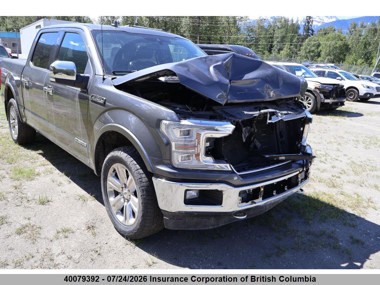2018 FORD F150 thumbnail 2