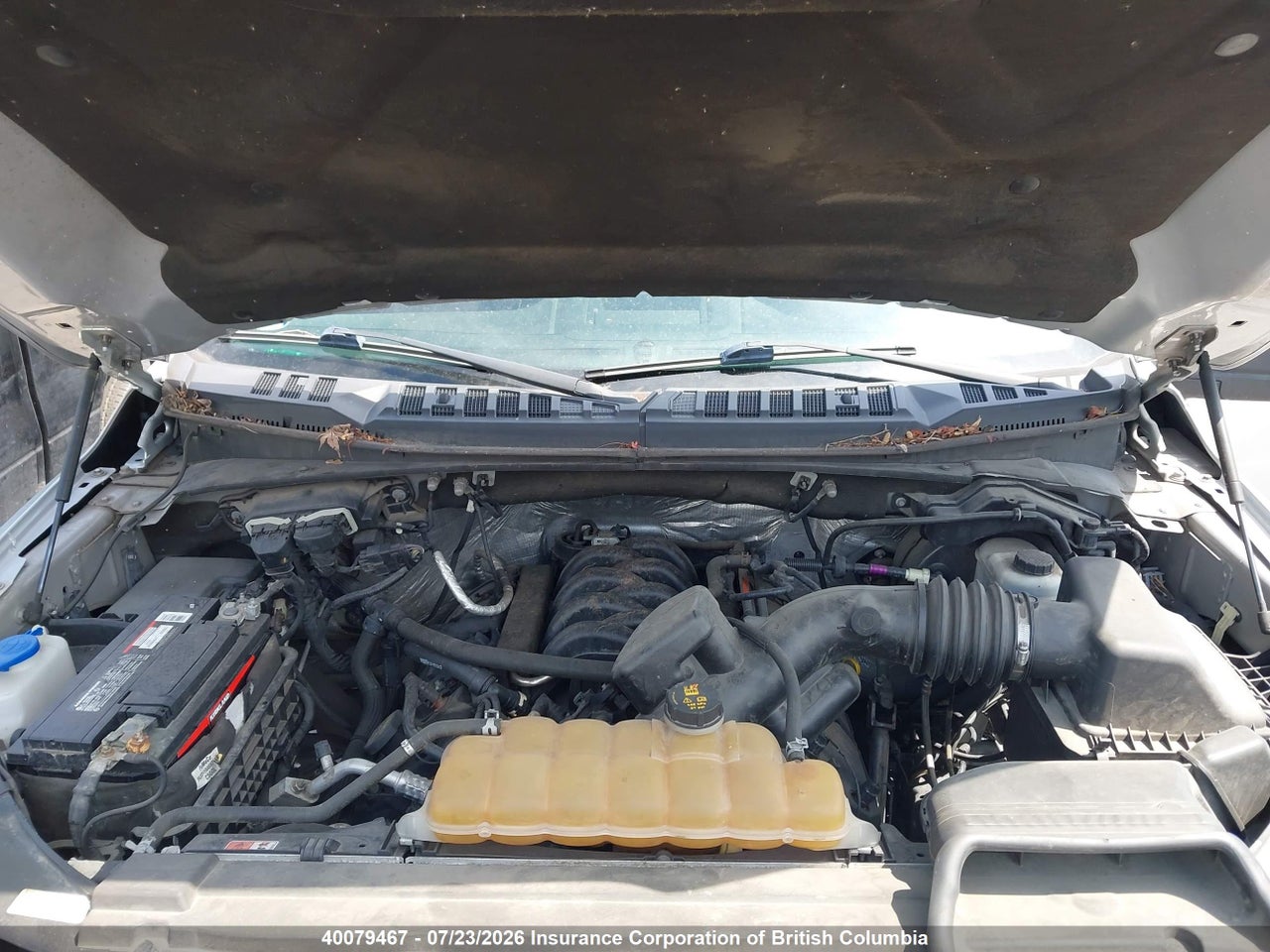 2015 FORD F150 thumbnail 11