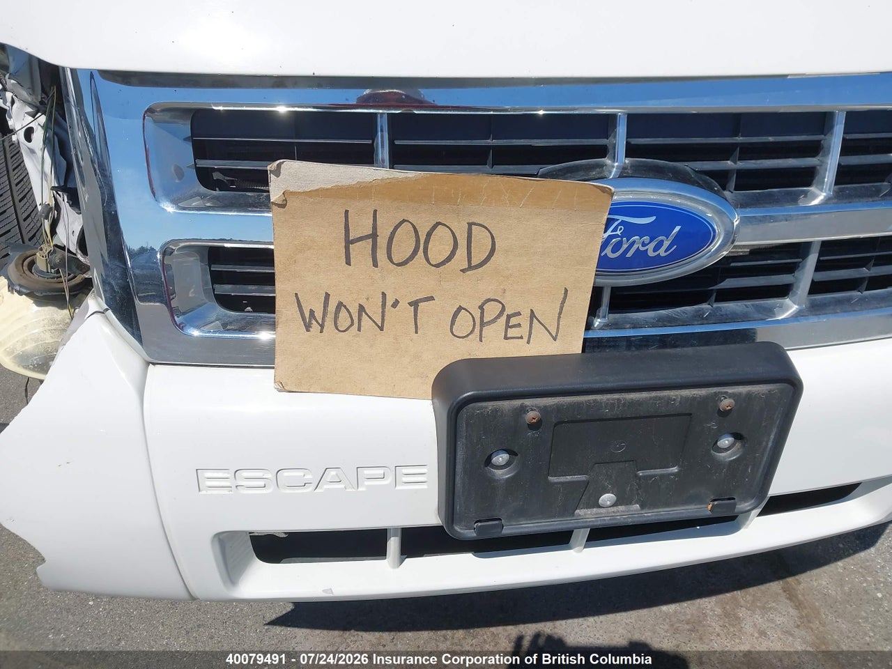 2012 FORD ESCAPE XLT thumbnail 11