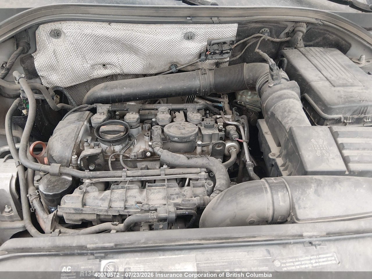 2010 VOLKSWAGEN TIGUAN SE/SEL thumbnail 12