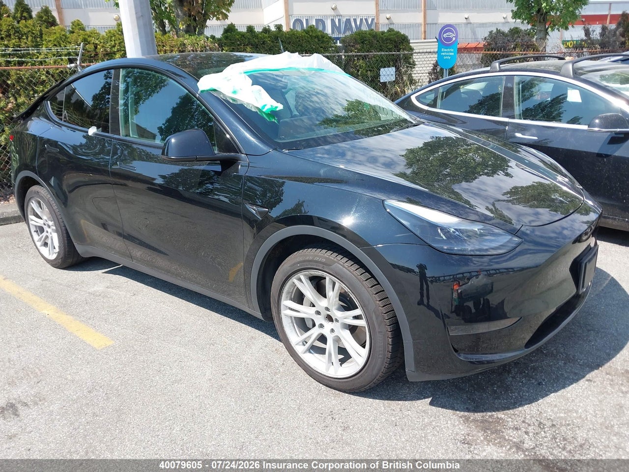 2023 TESLA MODEL Y RWD thumbnail 2