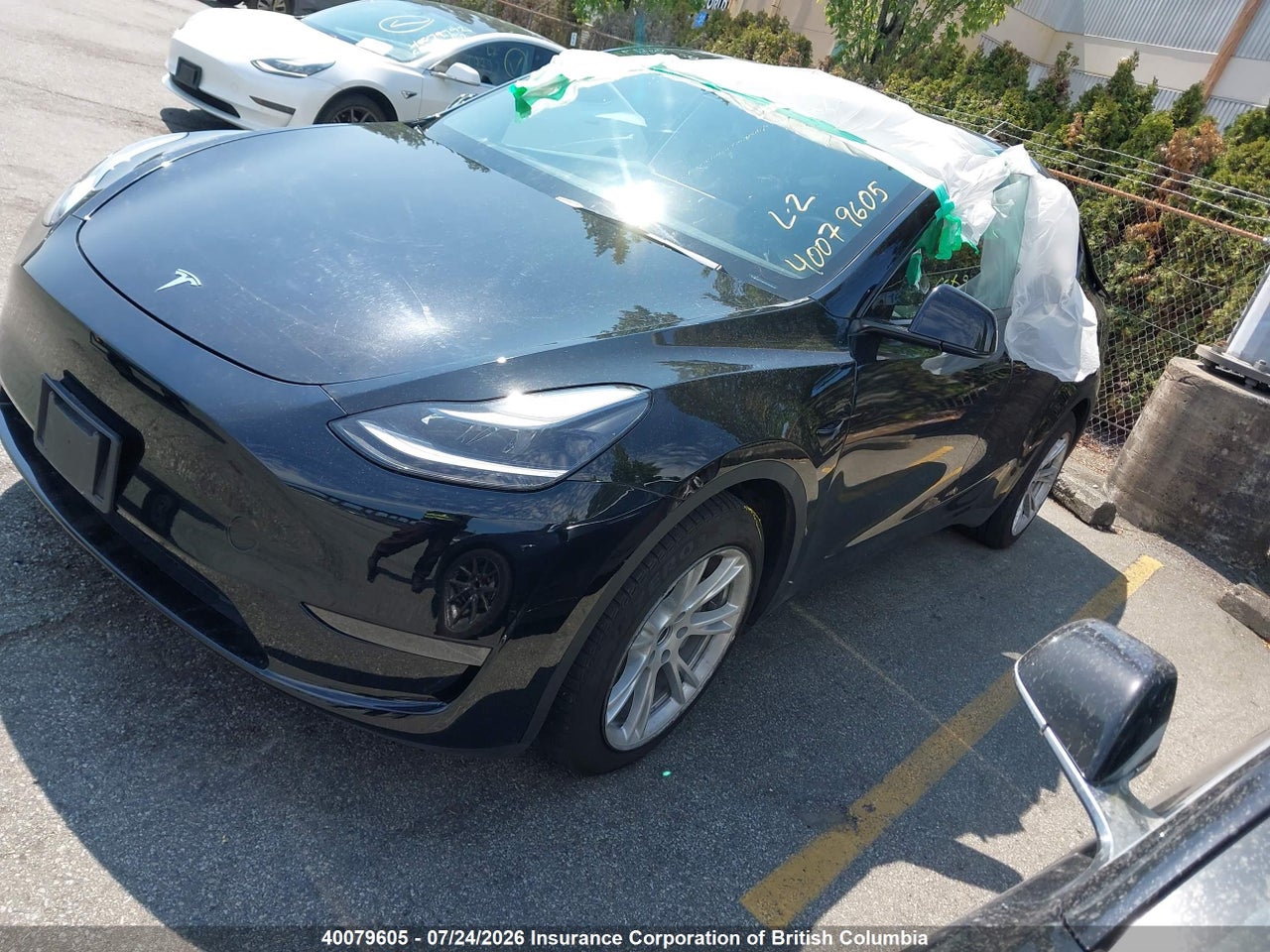 2023 TESLA MODEL Y RWD thumbnail 3