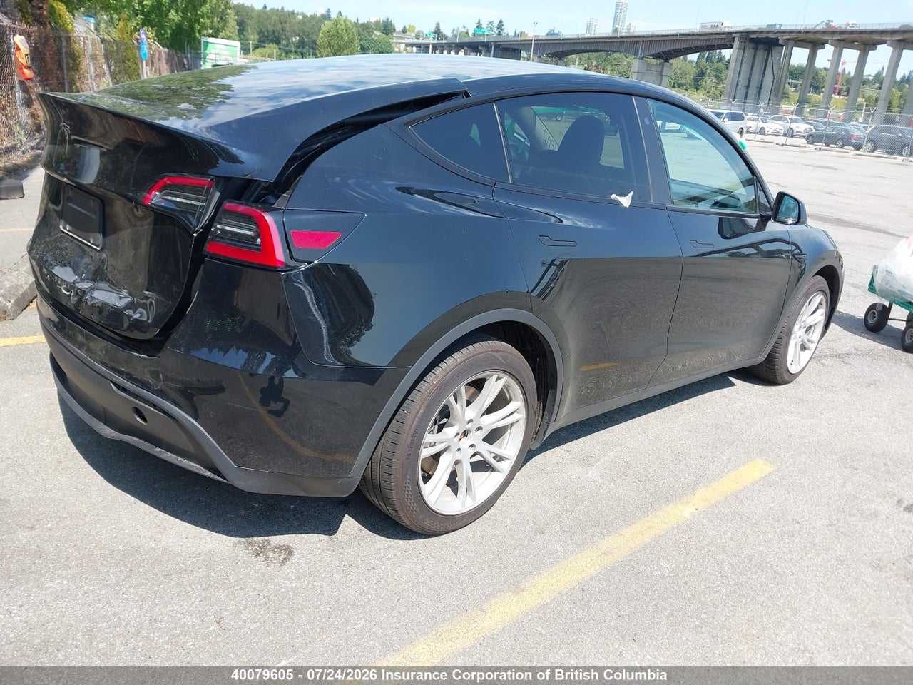 2023 TESLA MODEL Y RWD thumbnail 5
