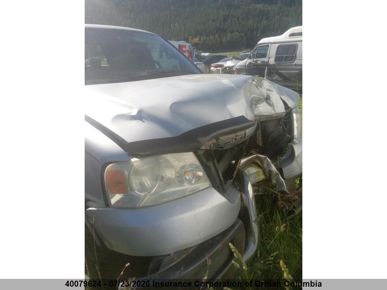 2005 FORD F150 thumbnail 6