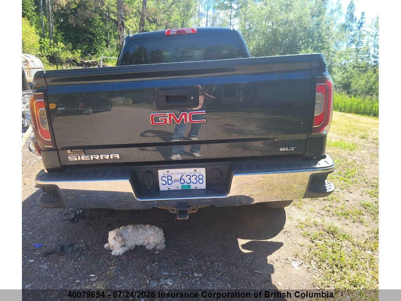 2017 GMC SIERRA K1500 SLT thumbnail 12