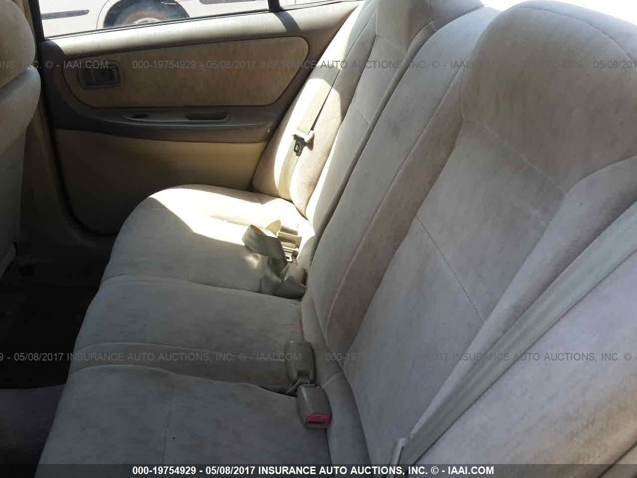 Image 8