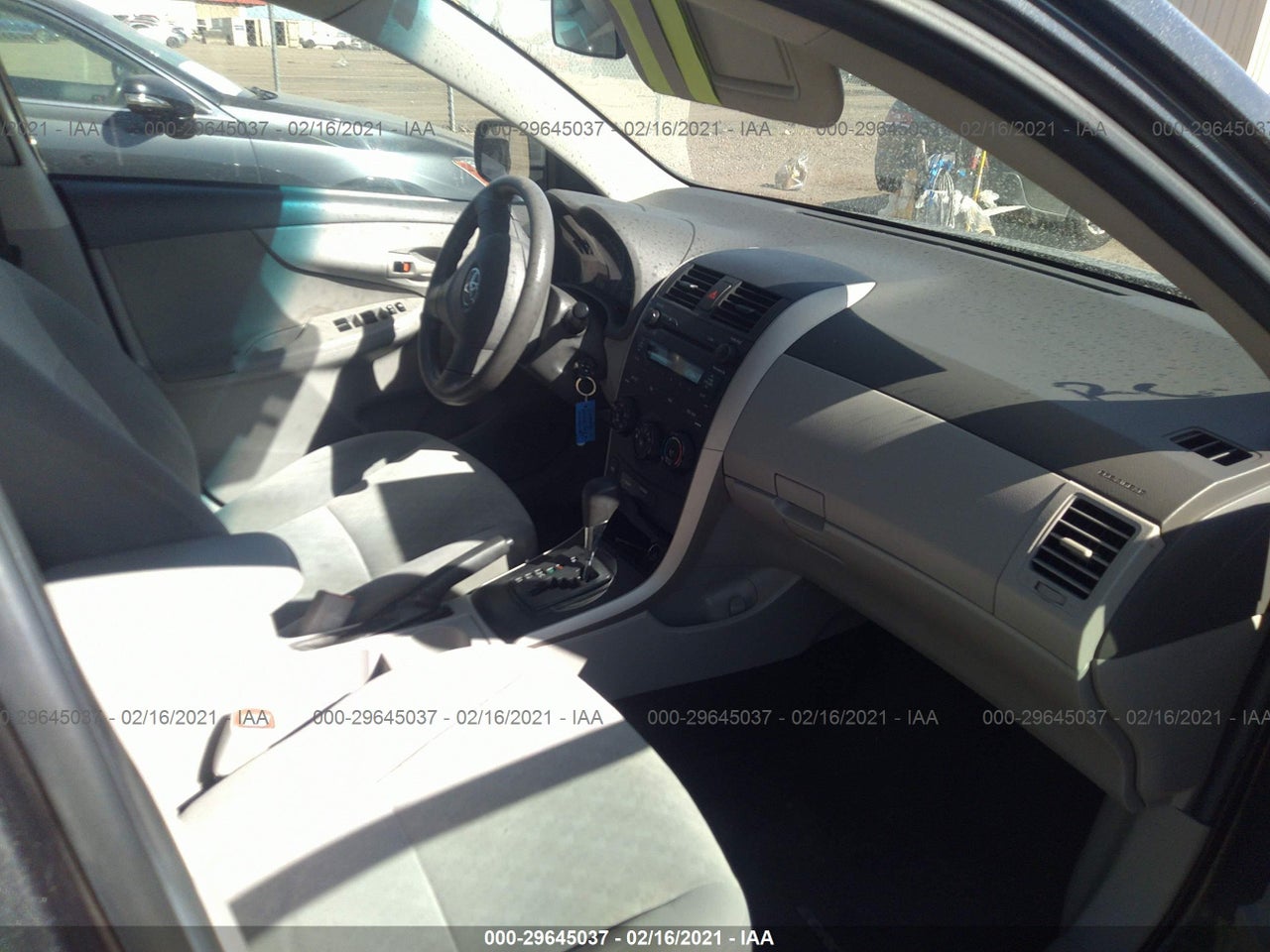 Image 5