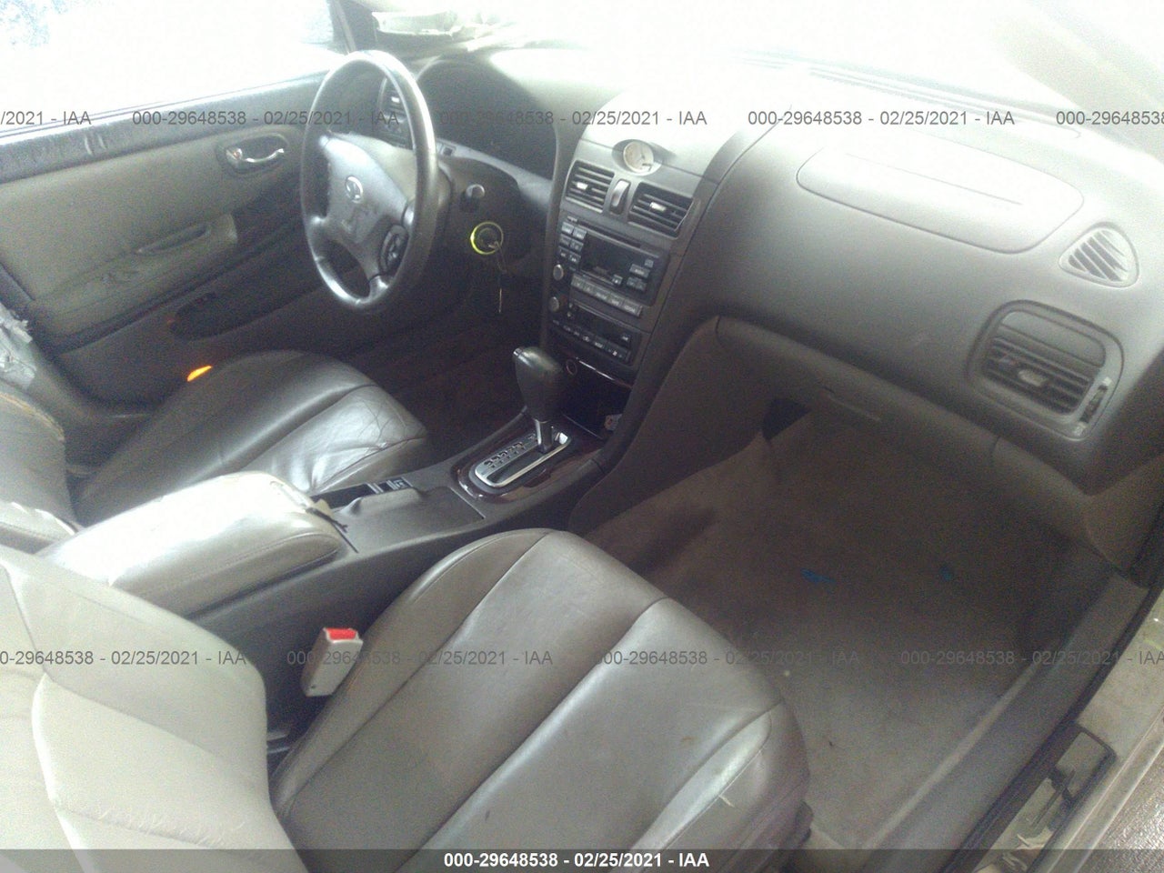 Image 5
