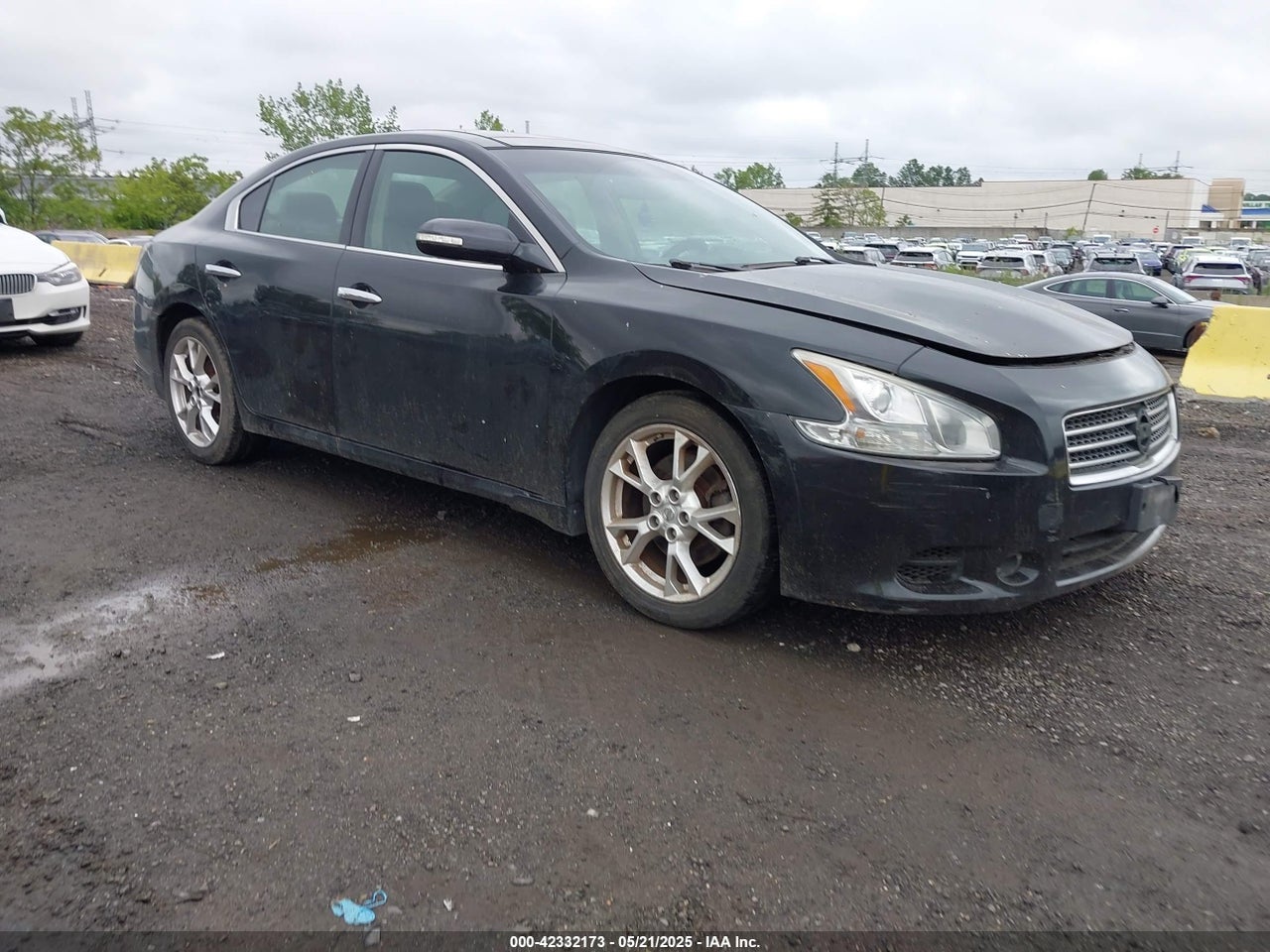 2014 Nissan Maxima