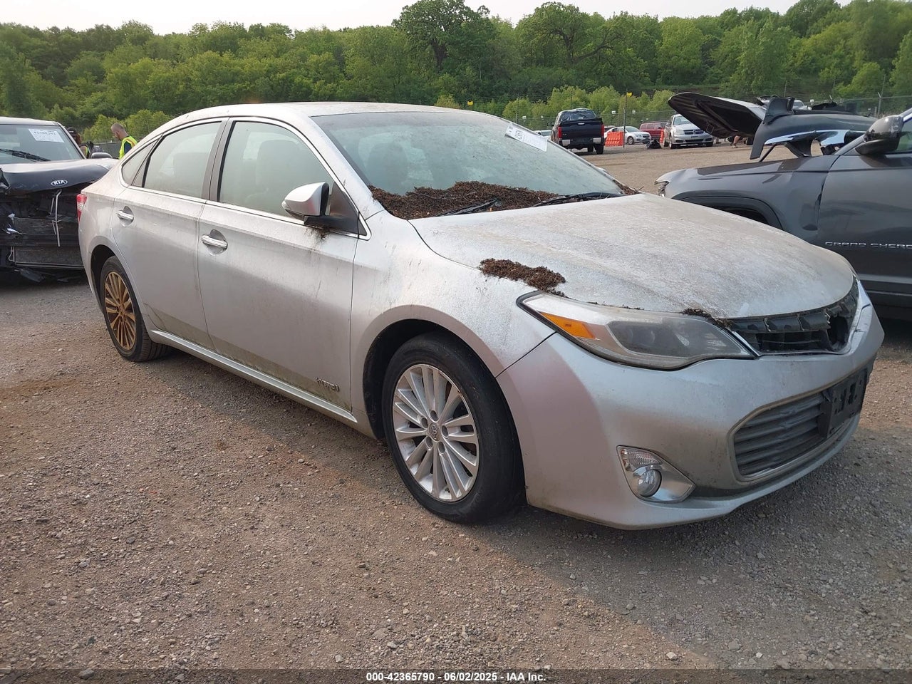 2014 Toyota Avalon