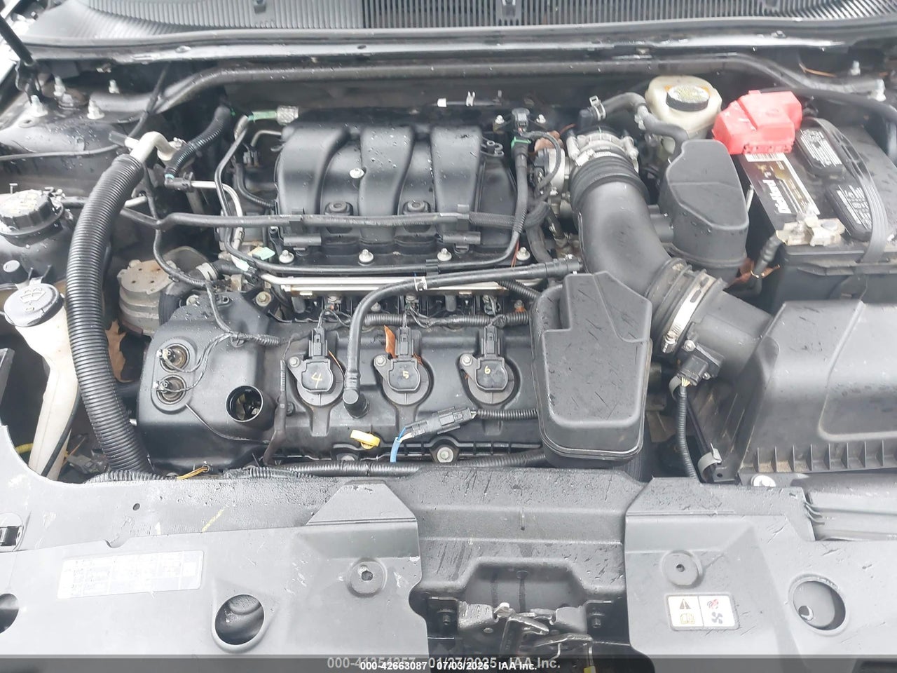 Image 10