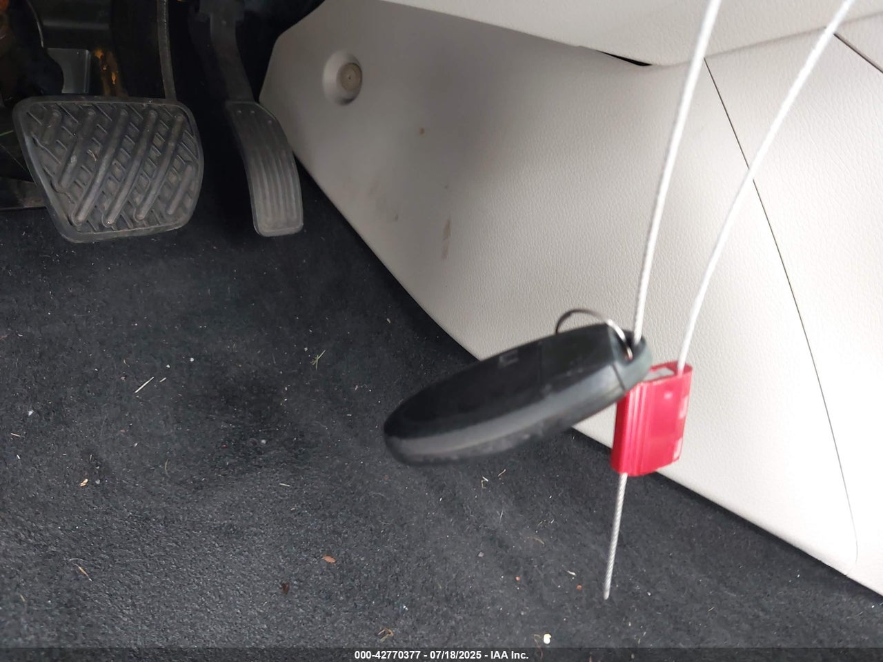 Image 11