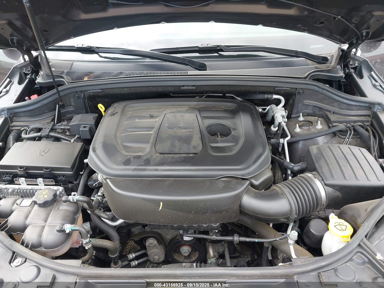 Image 10