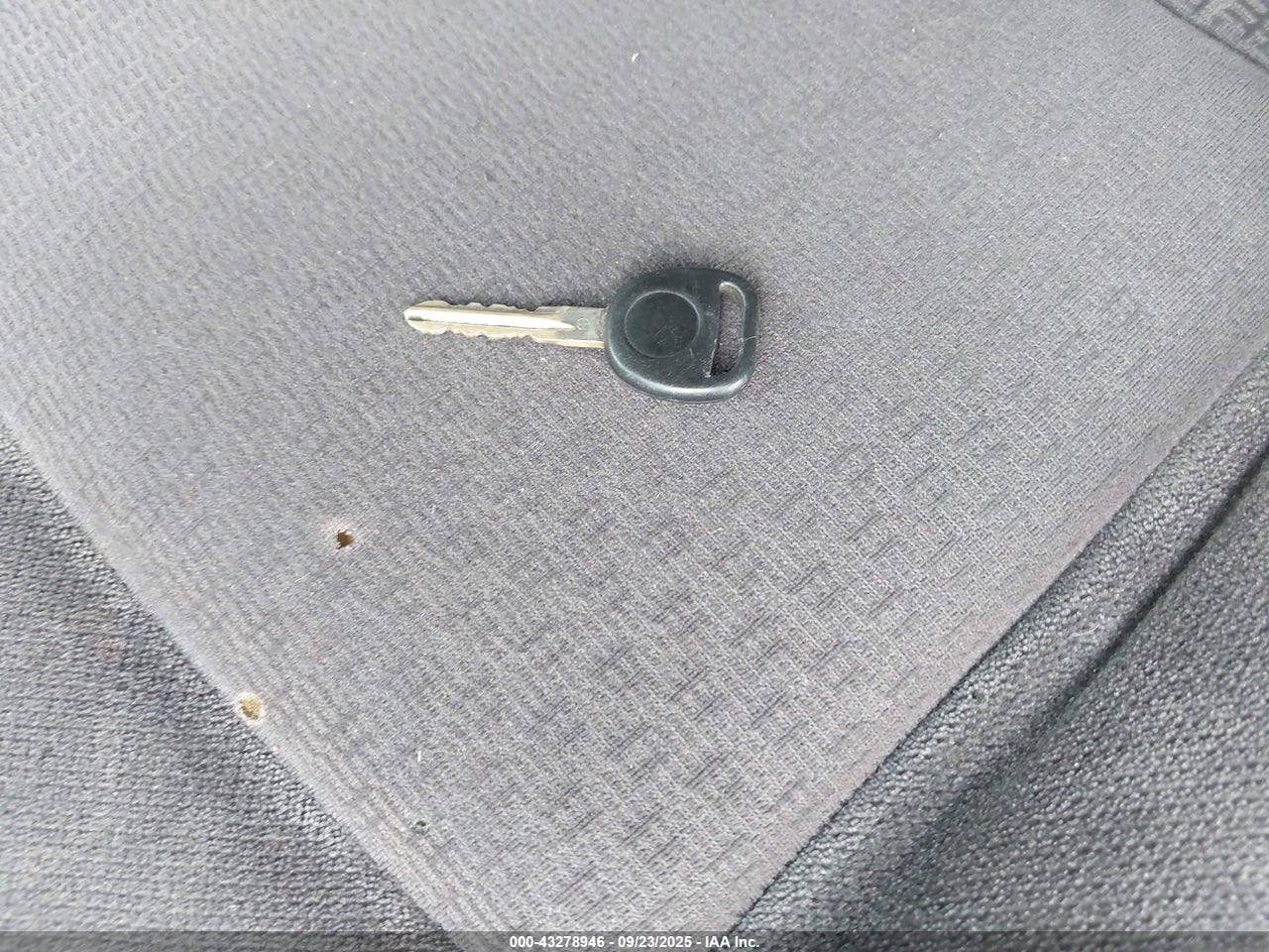 Image 11