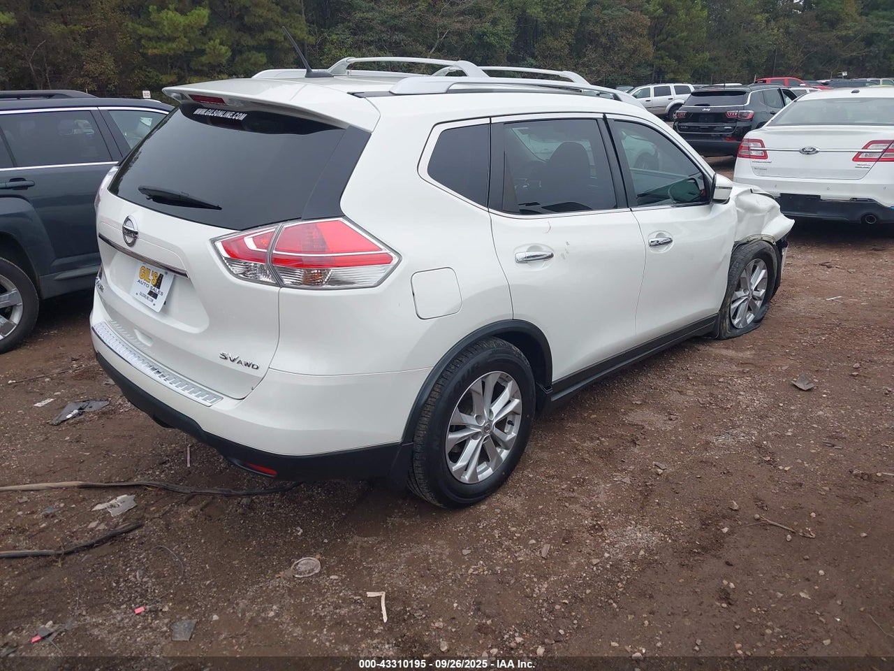 Image 4