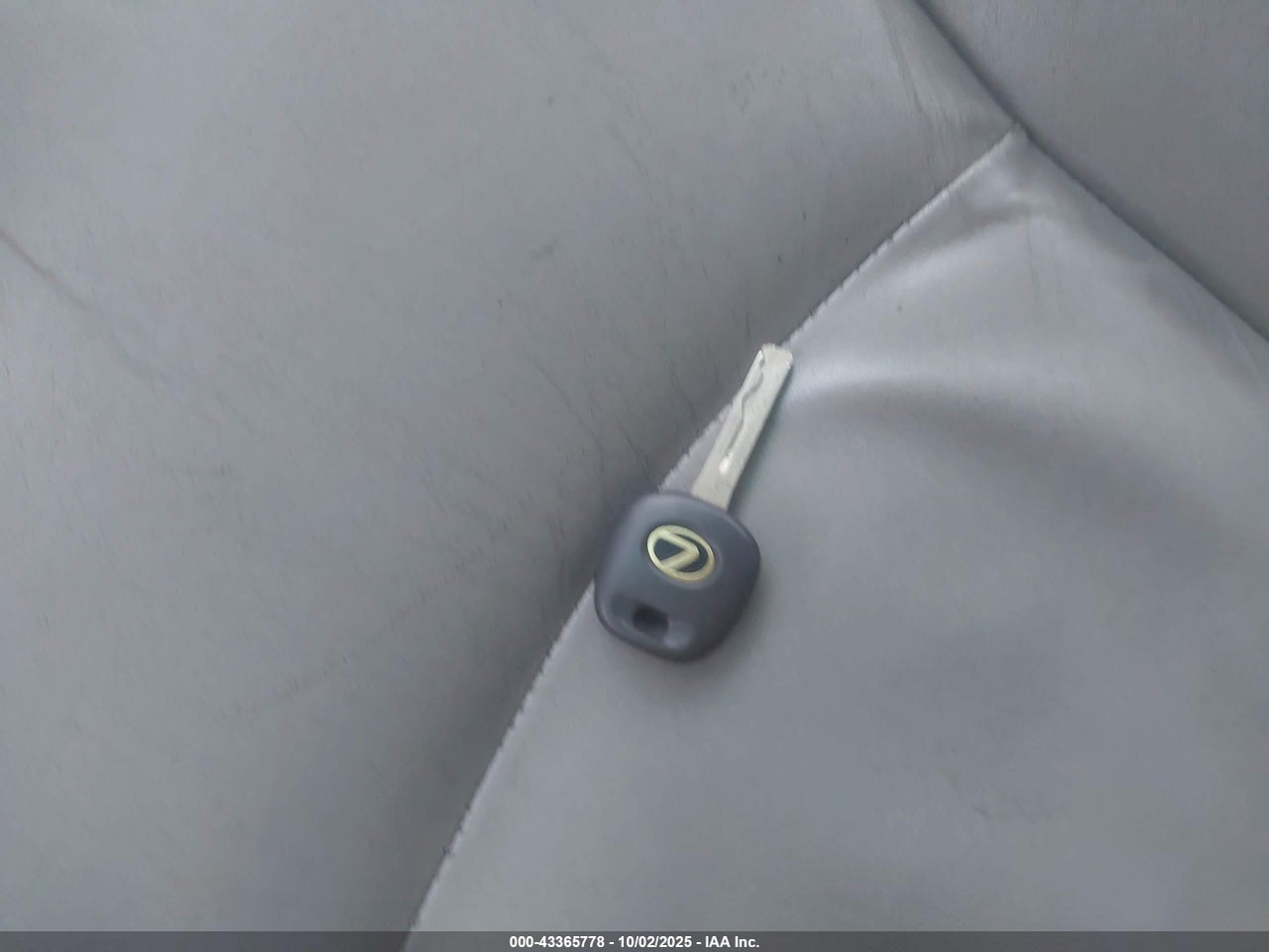 Image 11