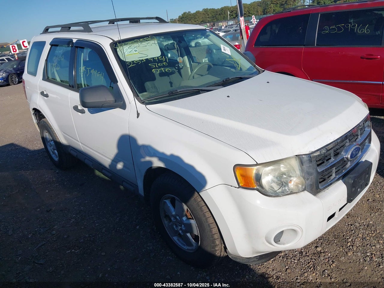 2010 Ford Escape