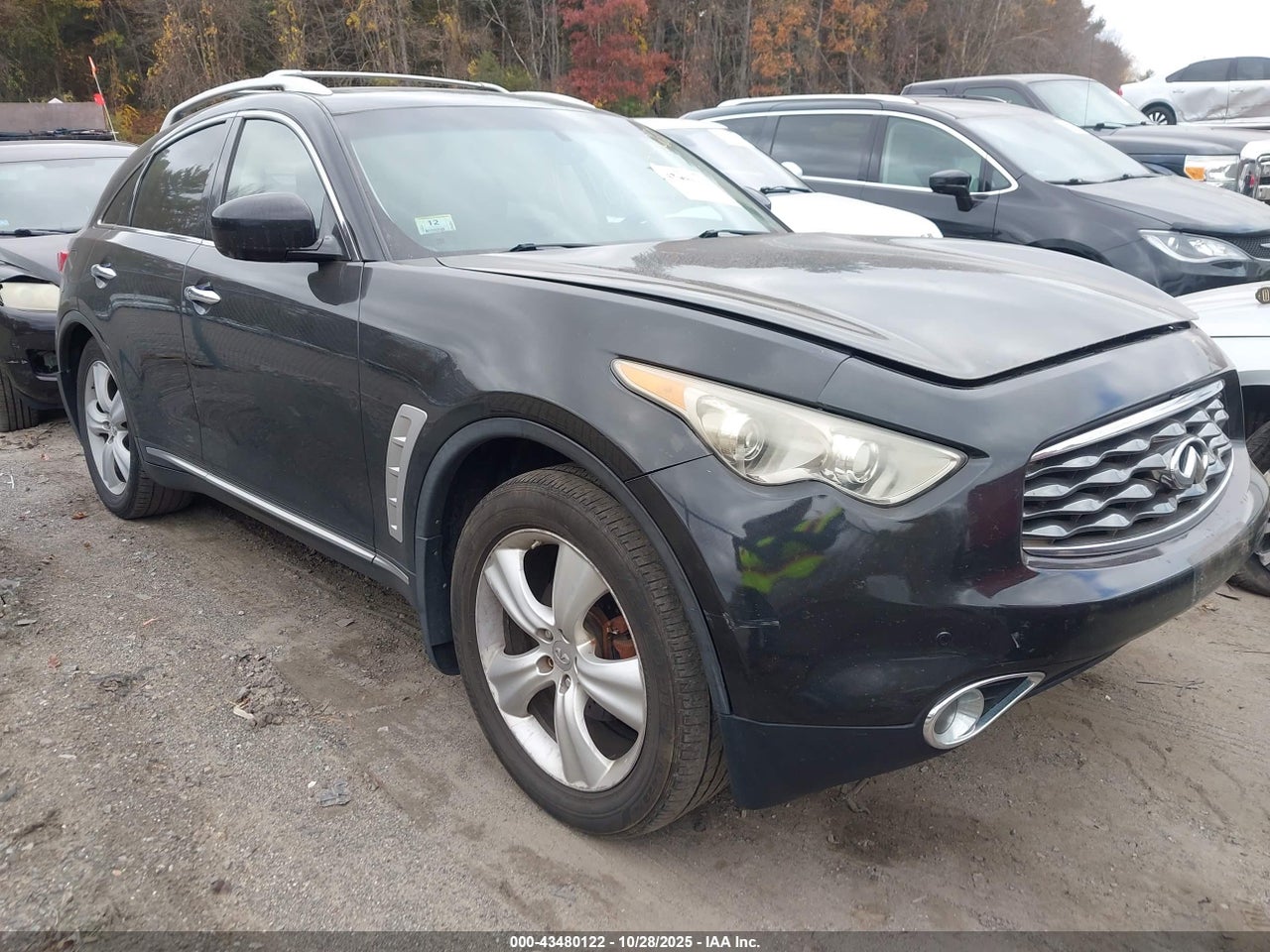 2010 Infiniti FX