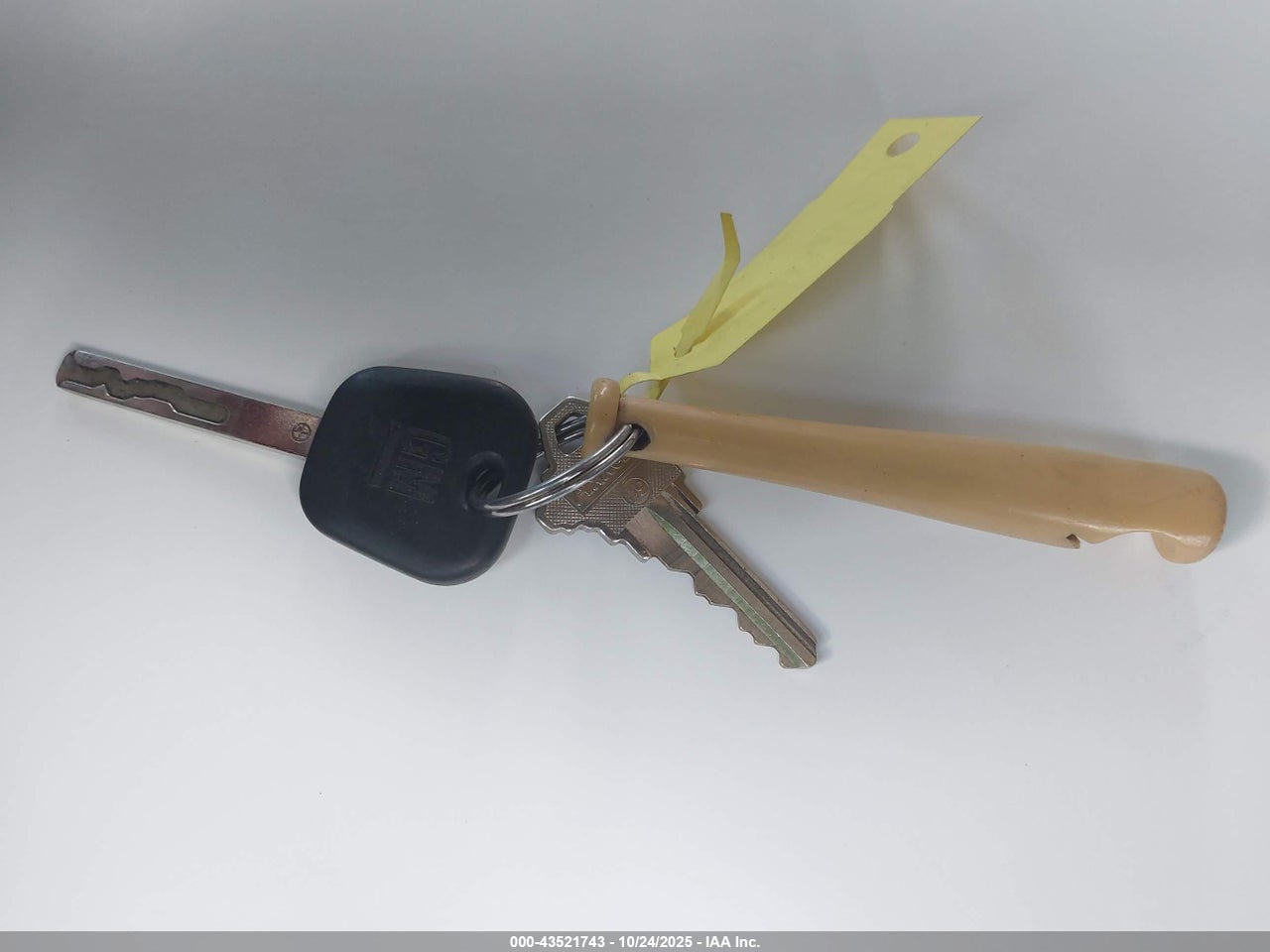 Image 11