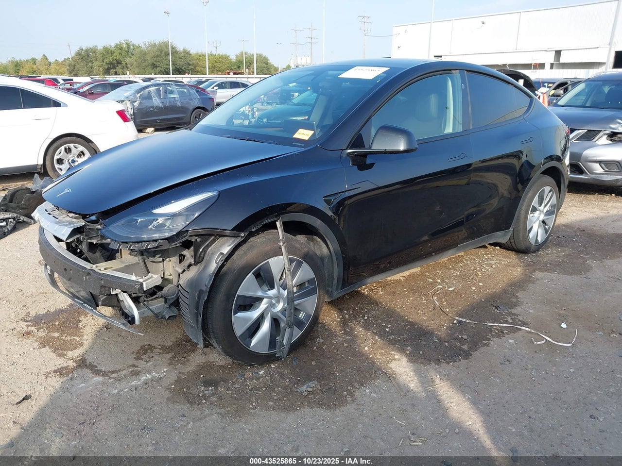 2024 TESLA MODEL Y RWD thumbnail 3