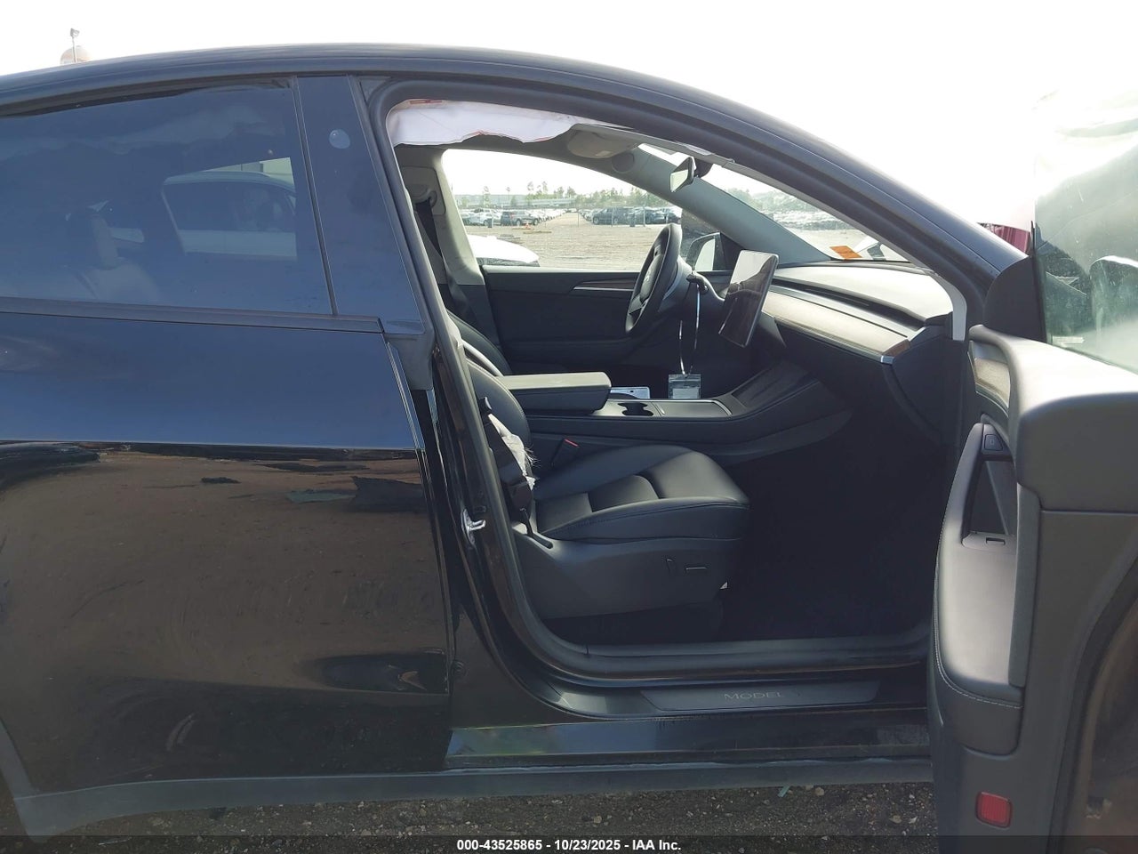 2024 TESLA MODEL Y RWD thumbnail 6