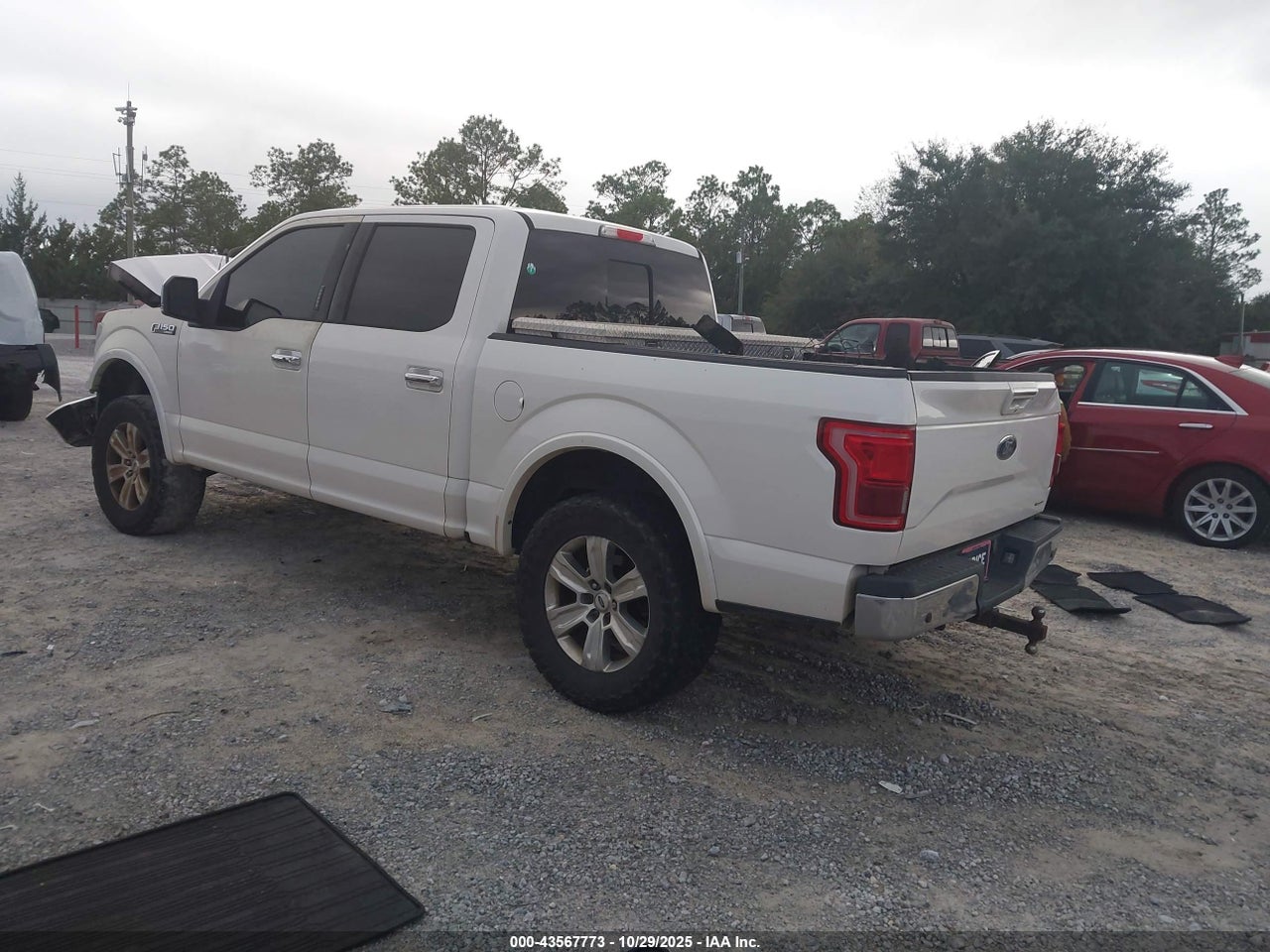 Image 3