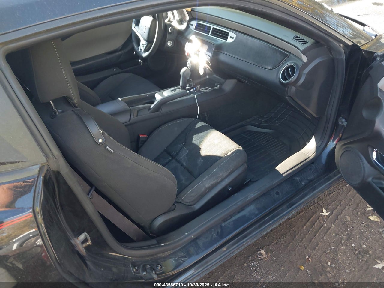 Image 5