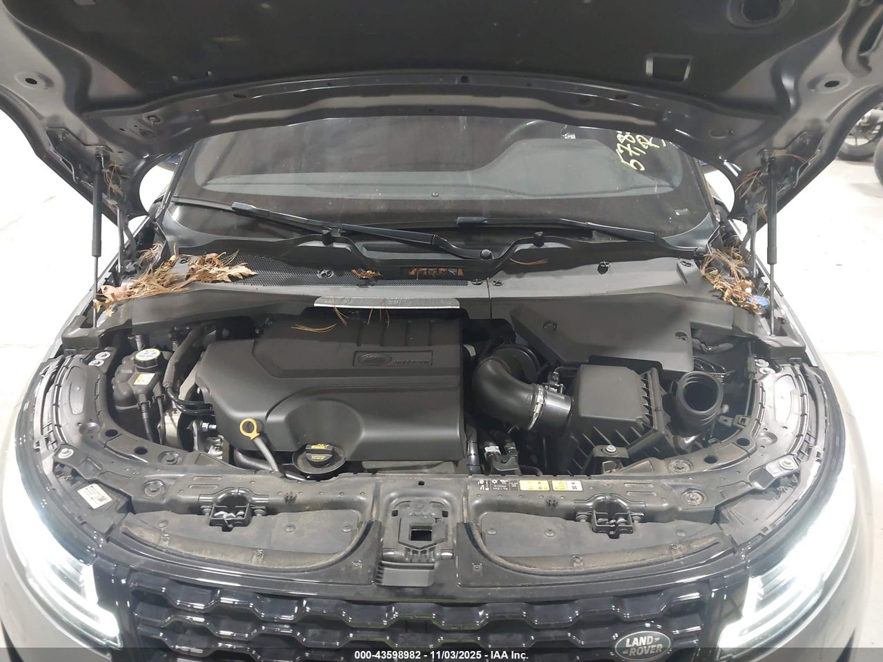 2020 LAND ROVER RANGE ROVER EVOQUE SE thumbnail 11