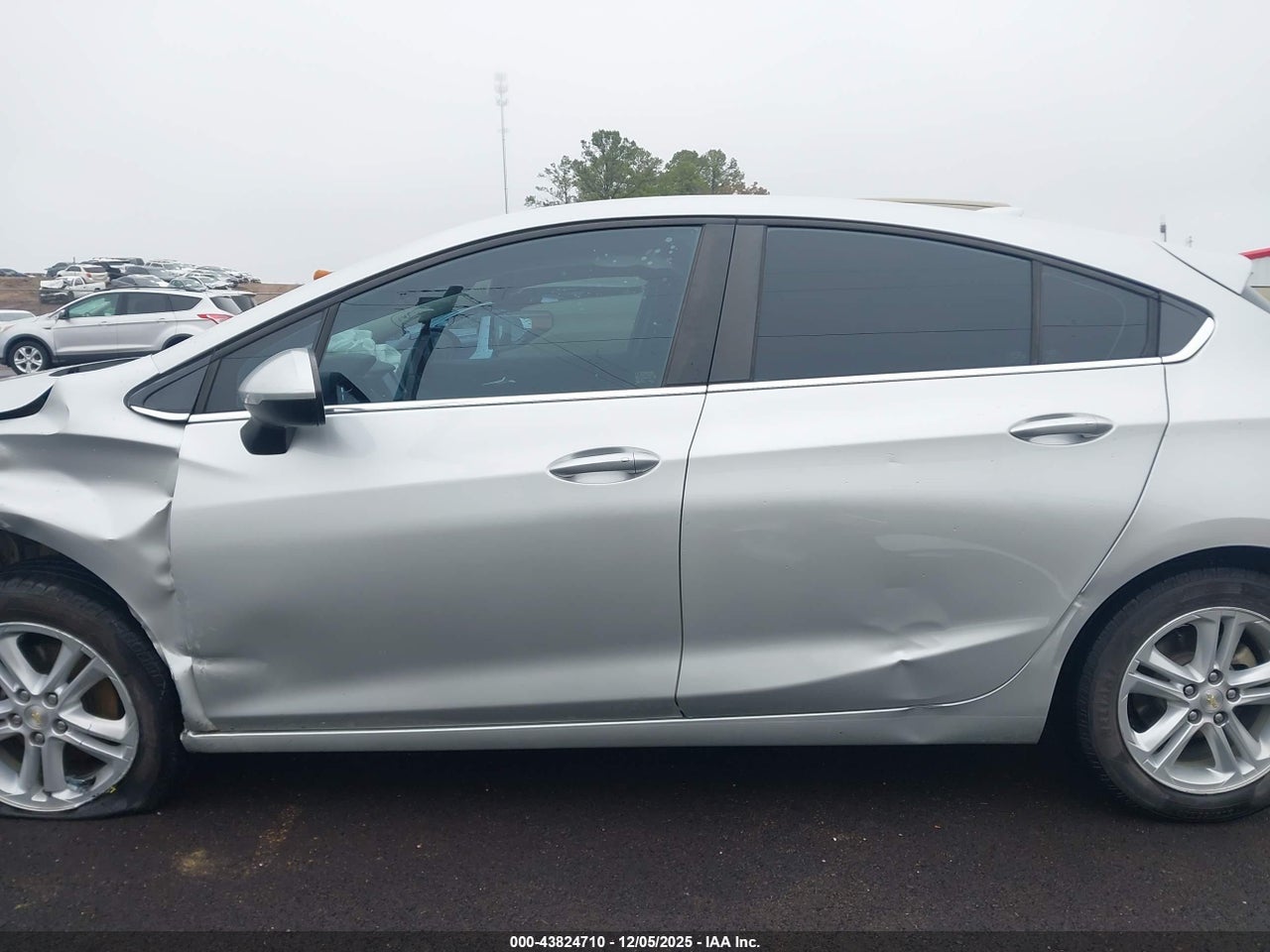 Image 15