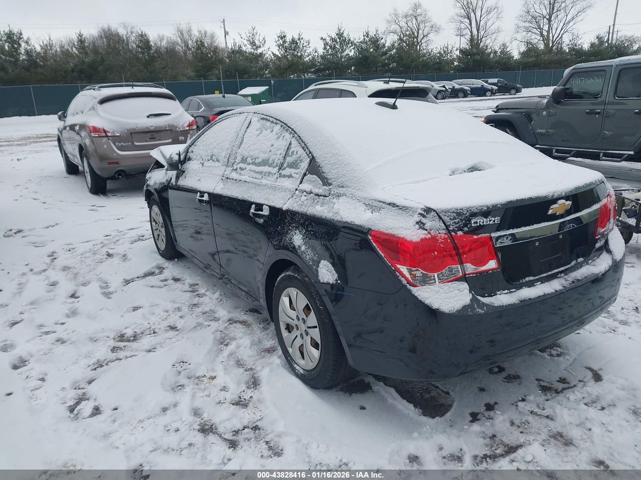 Image 3