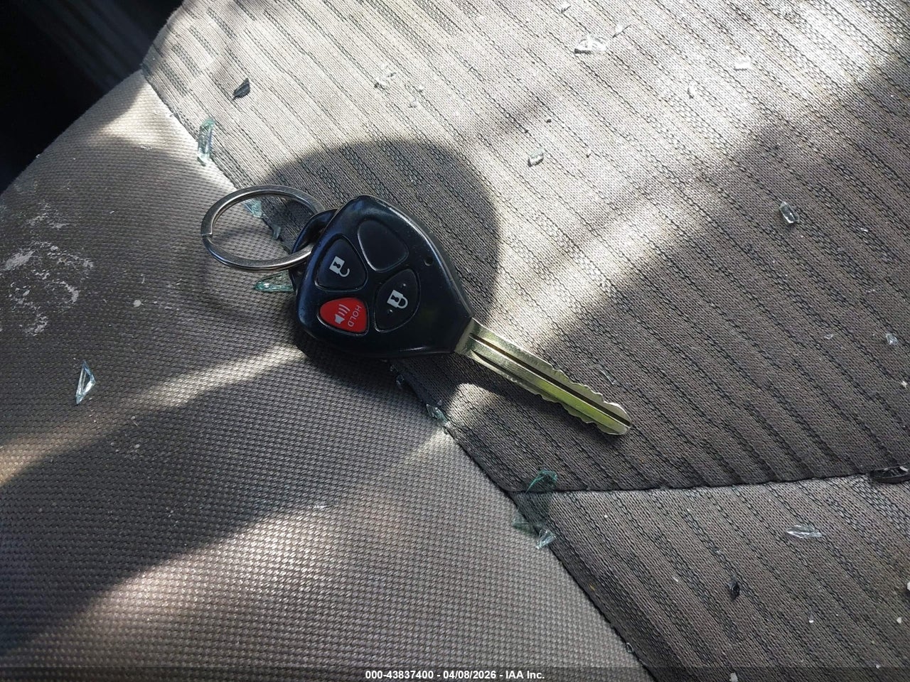 Image 11