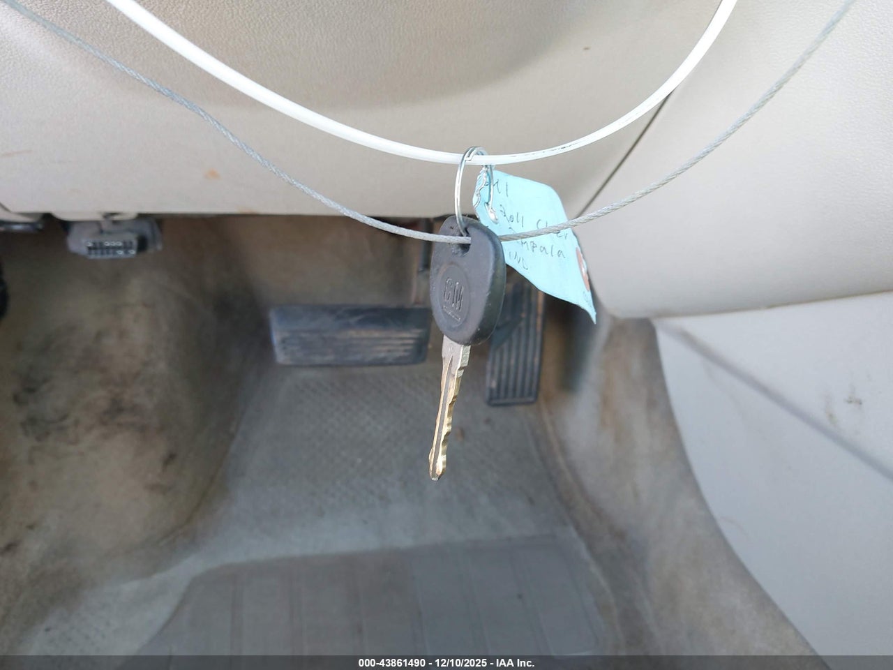 Image 11