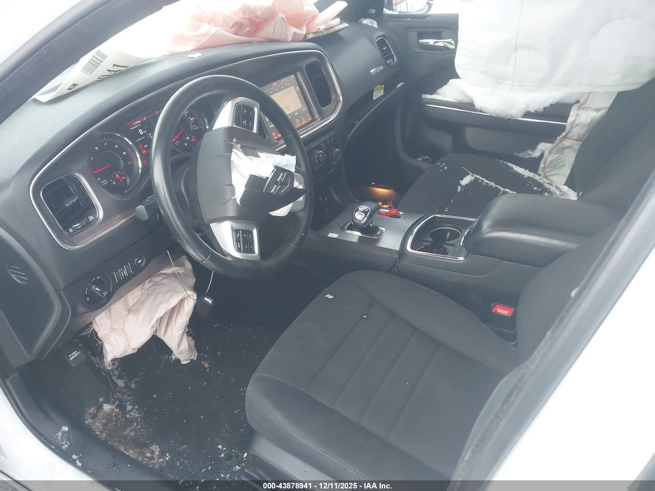 Image 5