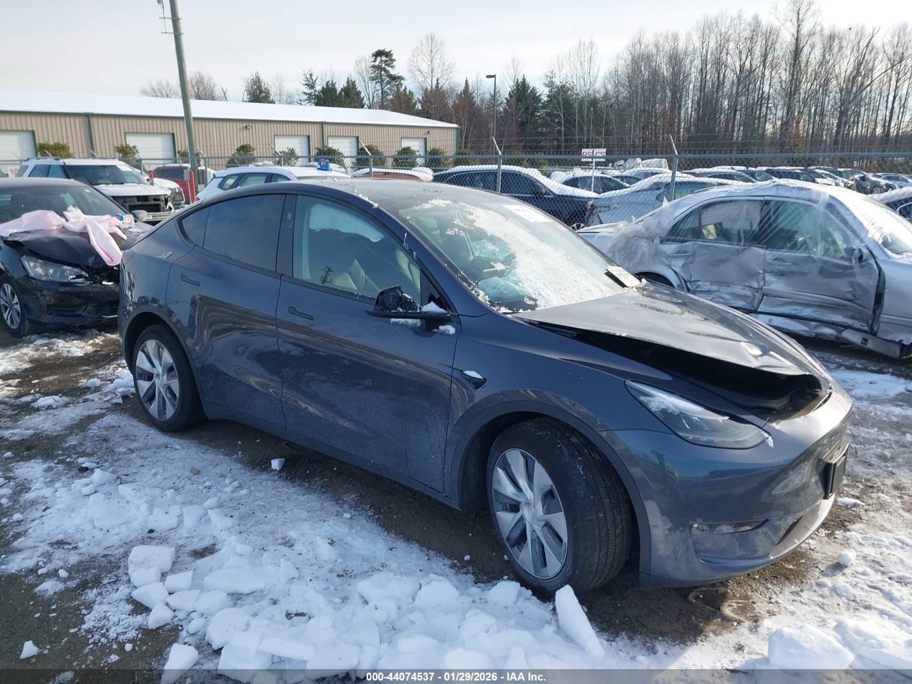 2023 TESLA MODEL Y RWD thumbnail 2