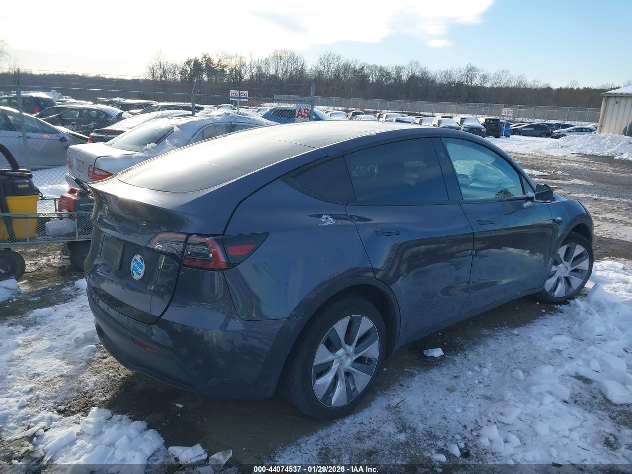 2023 TESLA MODEL Y RWD thumbnail 5