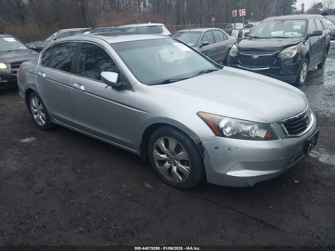 2010 Honda Accord