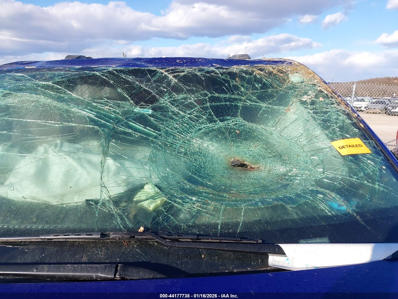 Image 11