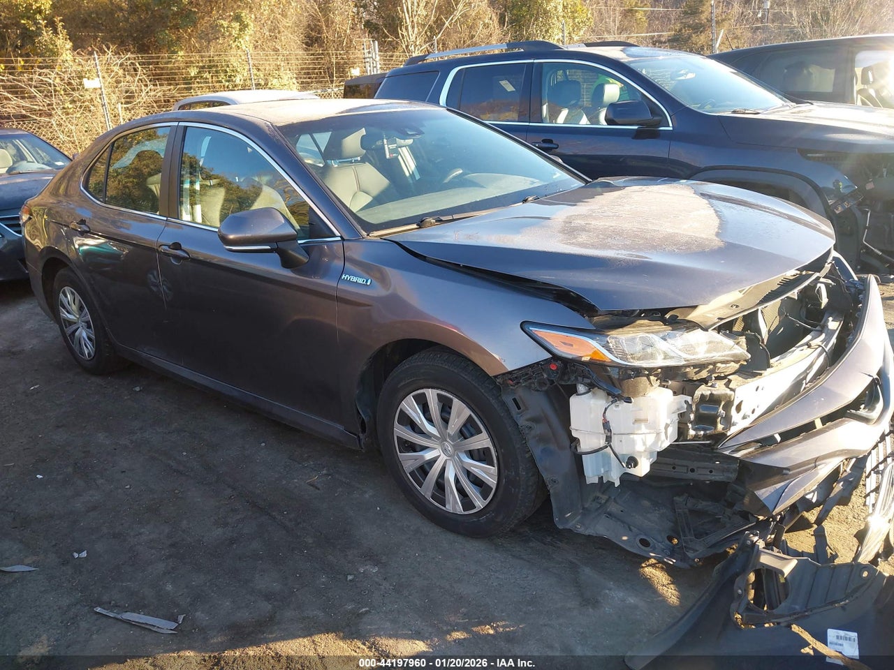 2019 Toyota Camry