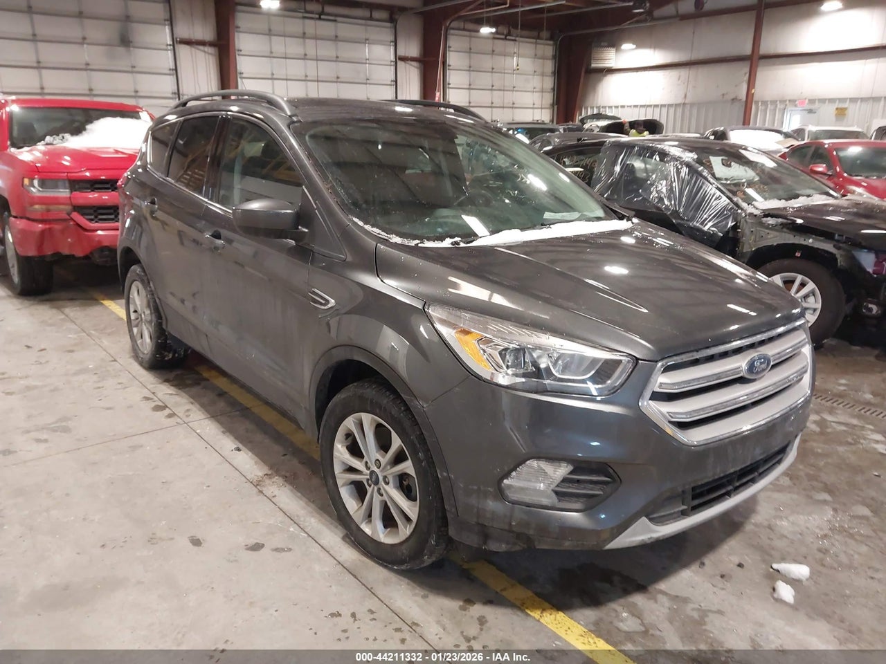 2019 Ford Escape