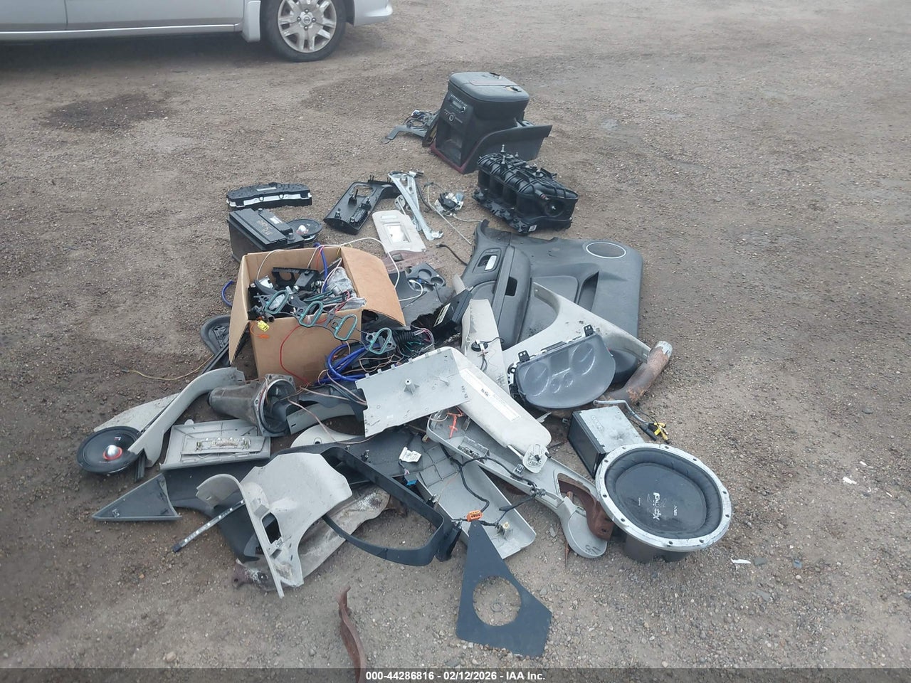 Image 11