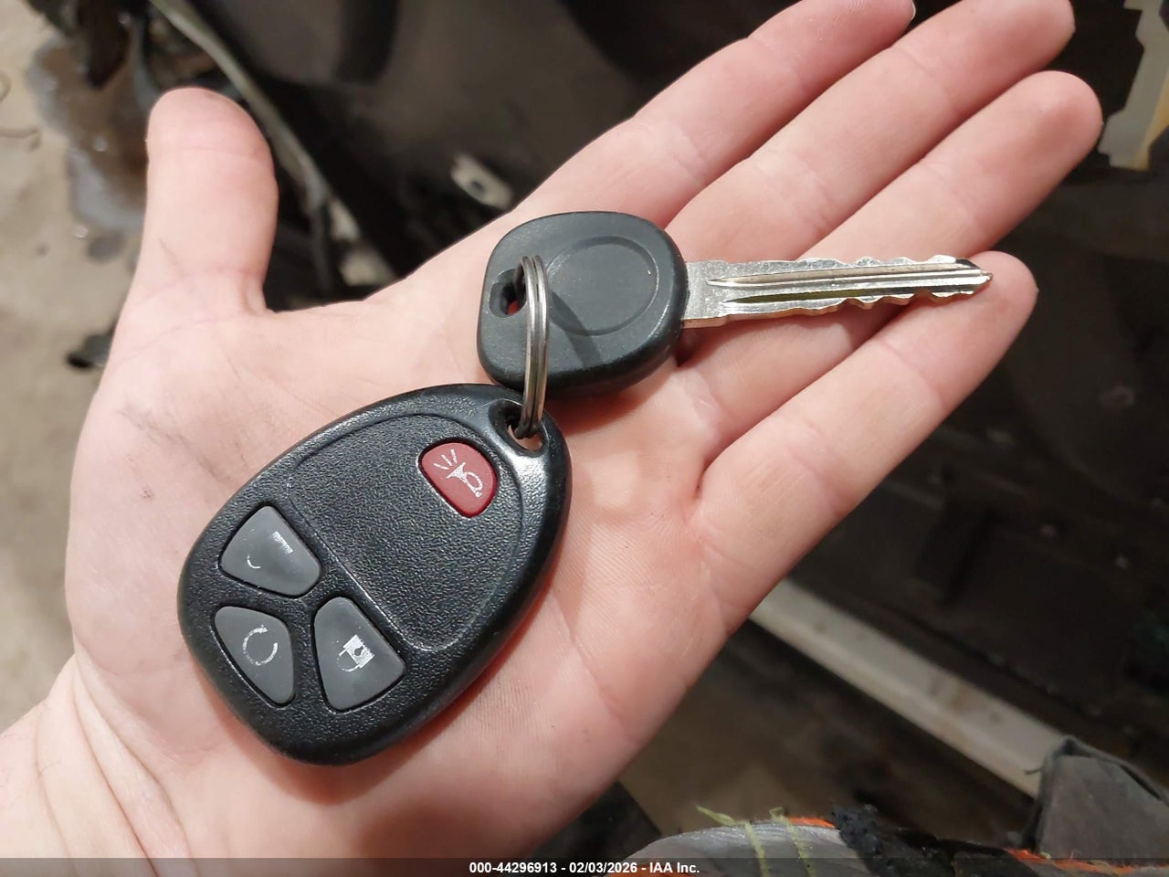 Image 11