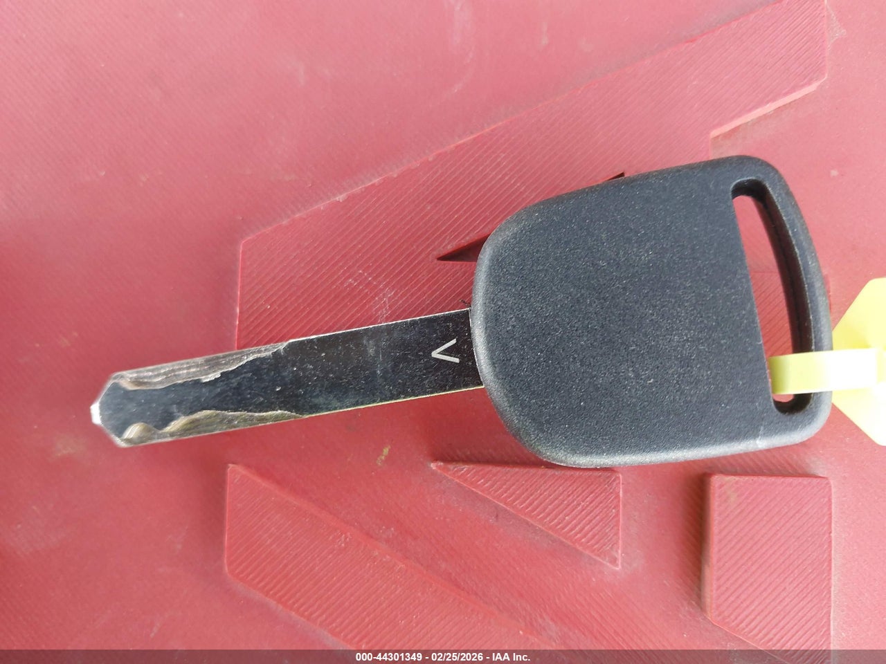 Image 11