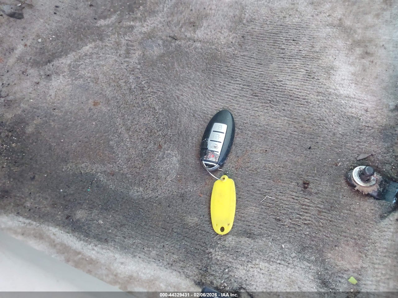 Image 11