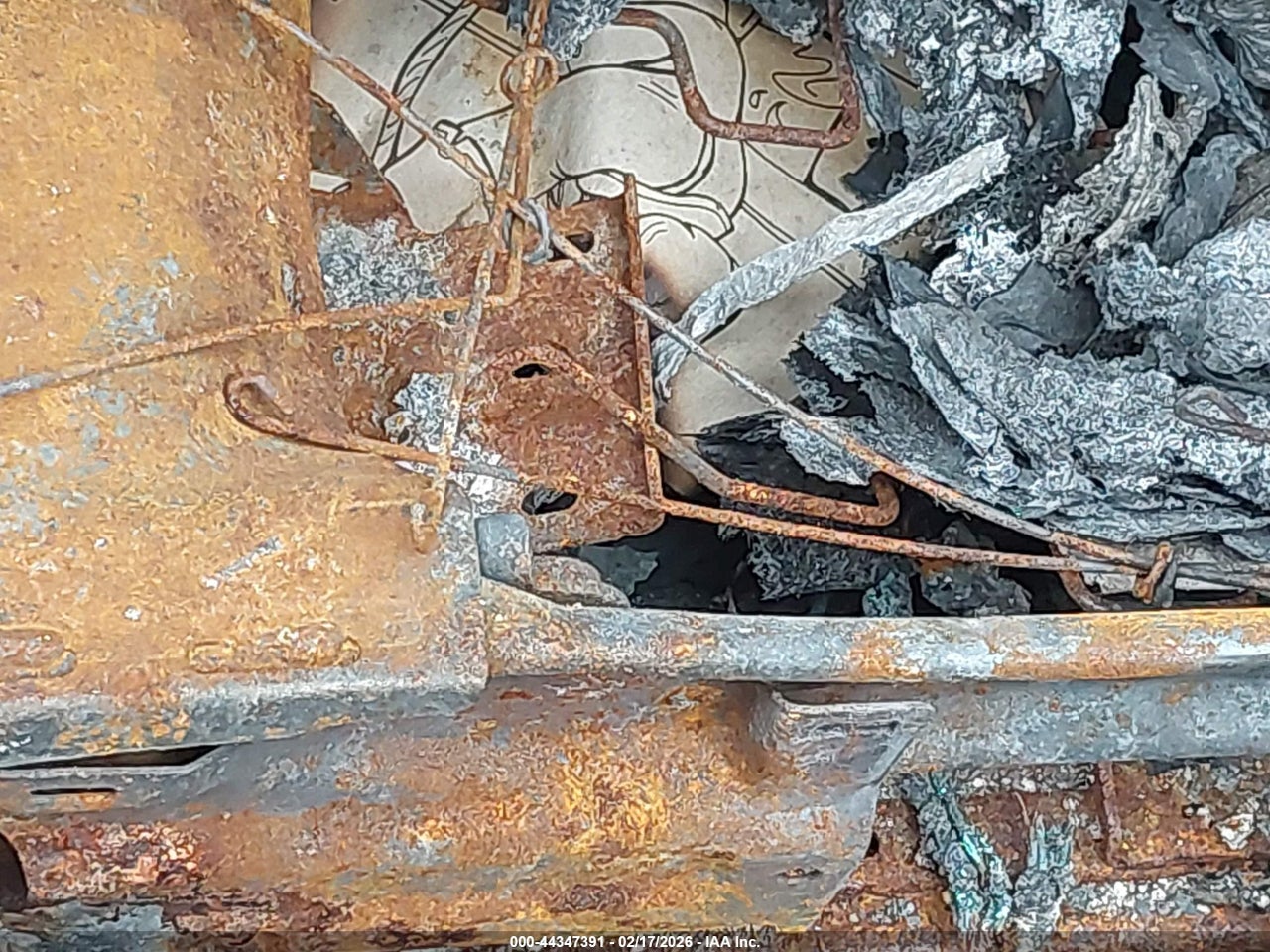 Image 11