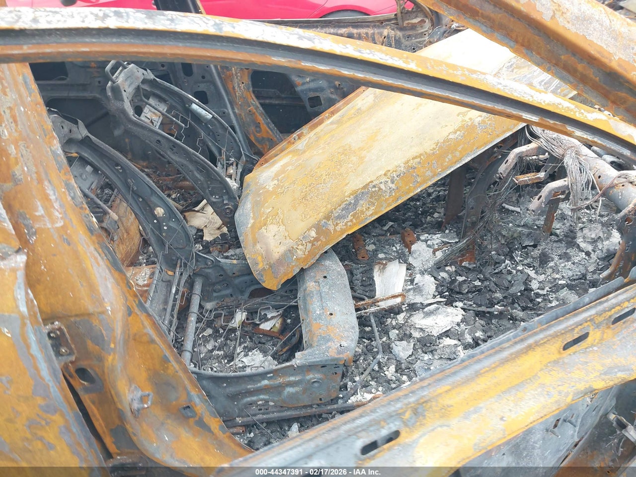 Image 5